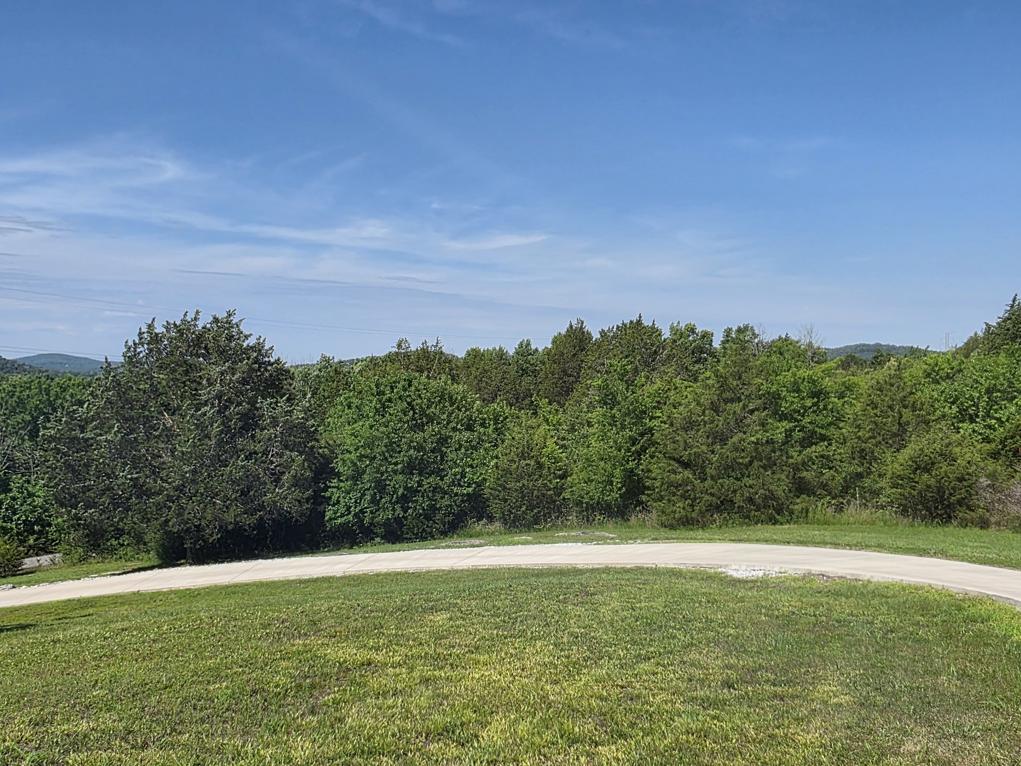 4 Lewis James Lane Riddleton, TN 37151 - Photo 57 of 62
