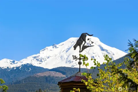 a view of a tree in a backyard of a house