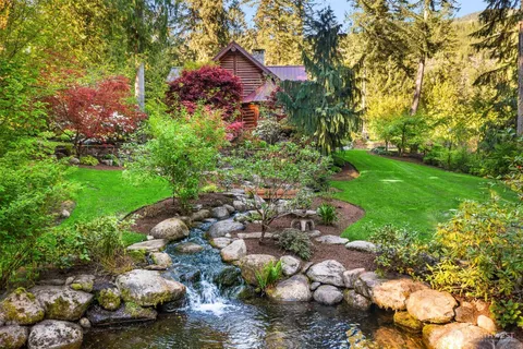 a view of a garden with plants and large trees