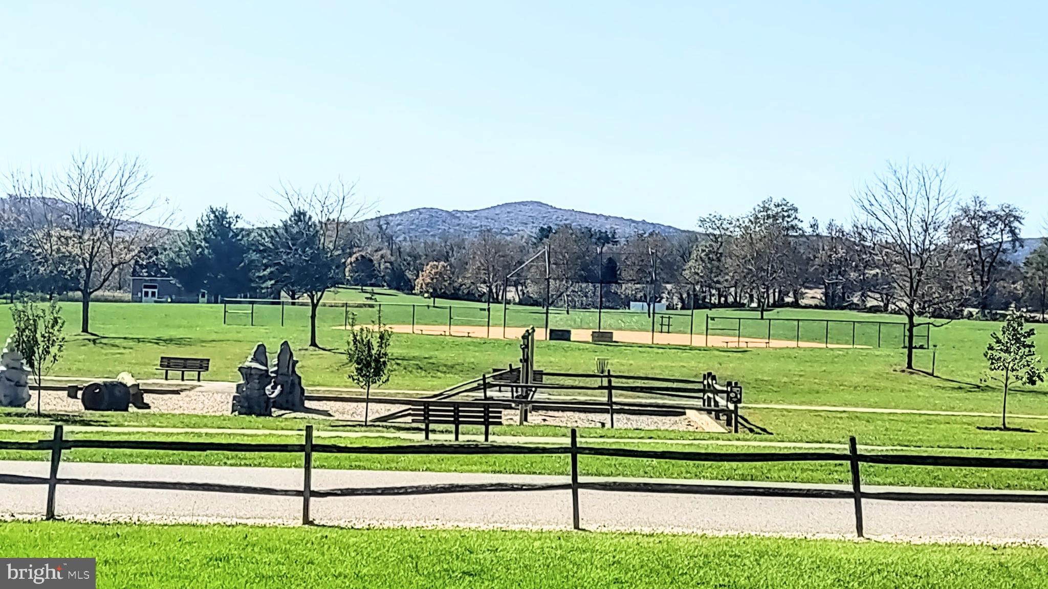 645 West 1st Street Boiling Springs, PA 17007 - Photo 20 of 23 a view of a park with large trees