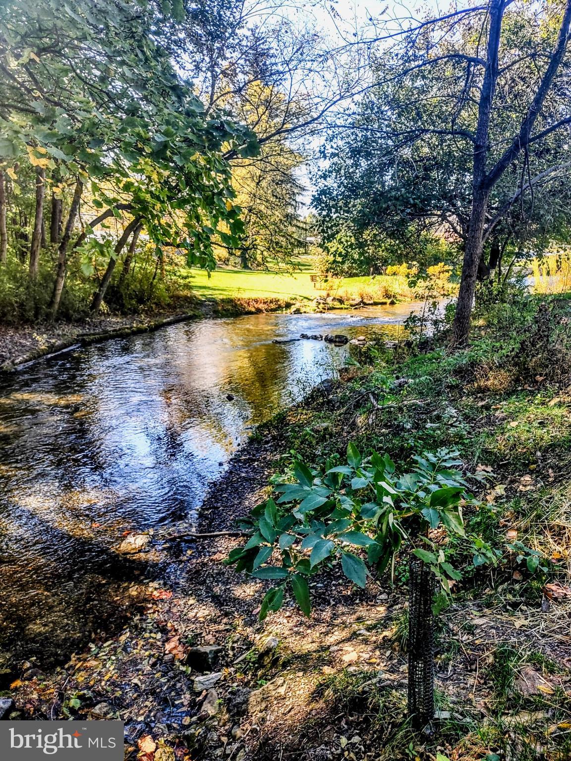 645 West 1st Street Boiling Springs, PA 17007 - Photo 21 of 23 a view of a lake from a yard
