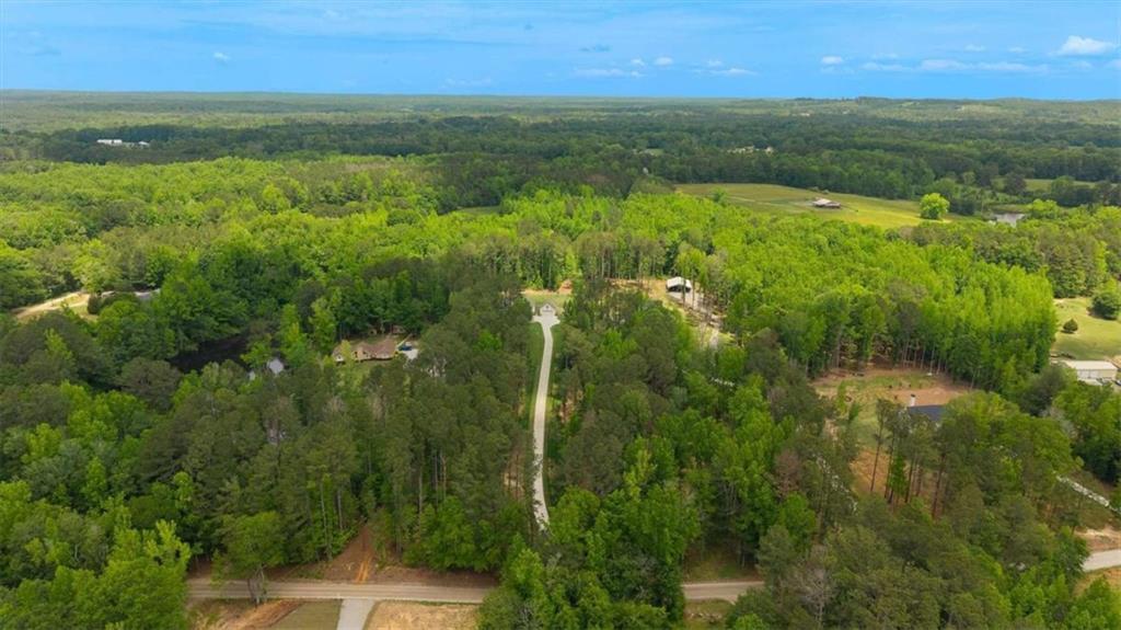 475 Paynes Lake Road Carrollton, GA 30116 - Photo 3 of 61