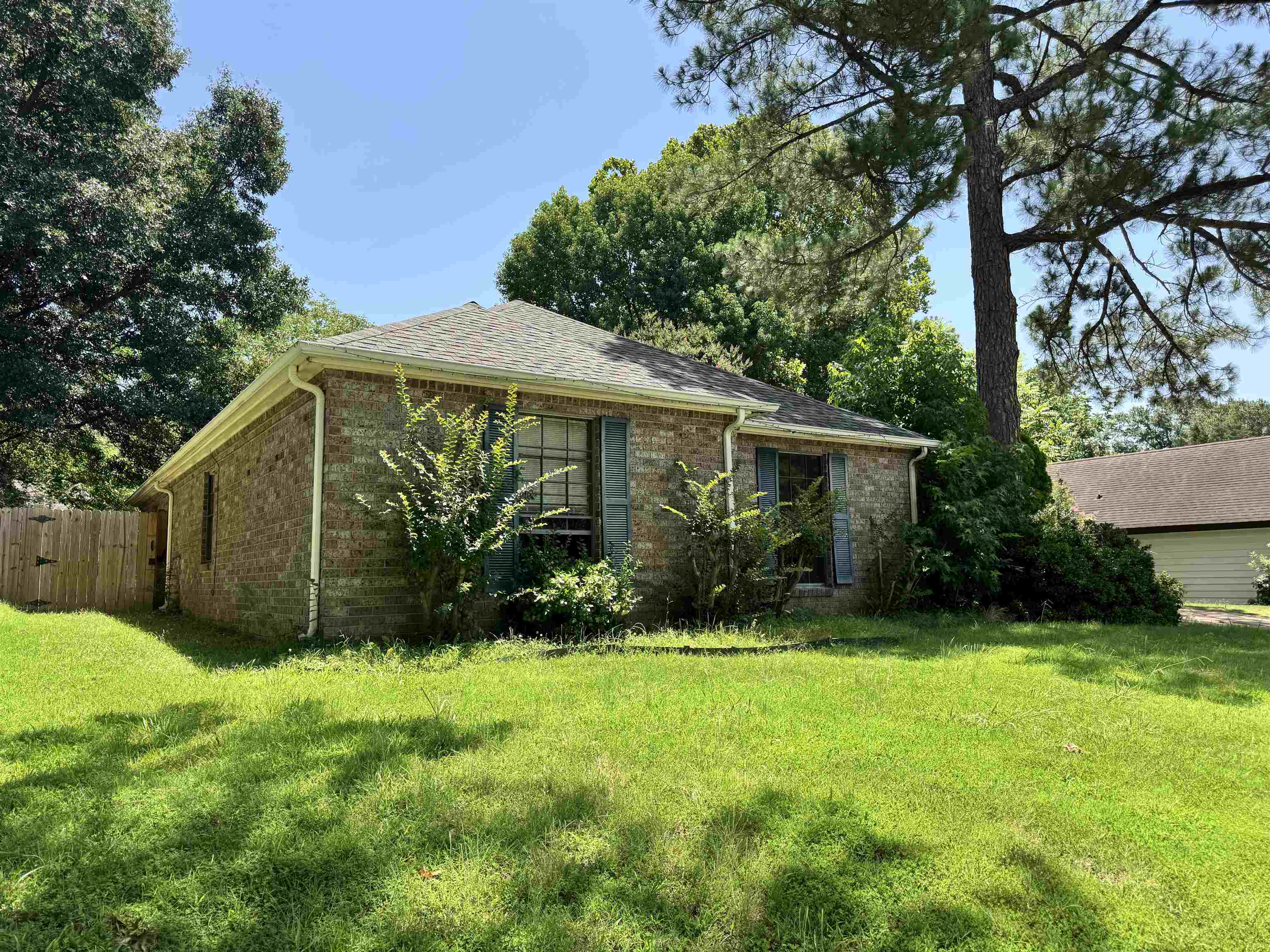 4334 Timber Rise Road Memphis, TN 38125 - Photo 2 of 18 Brick exterior with a shingle roof and blue shutters