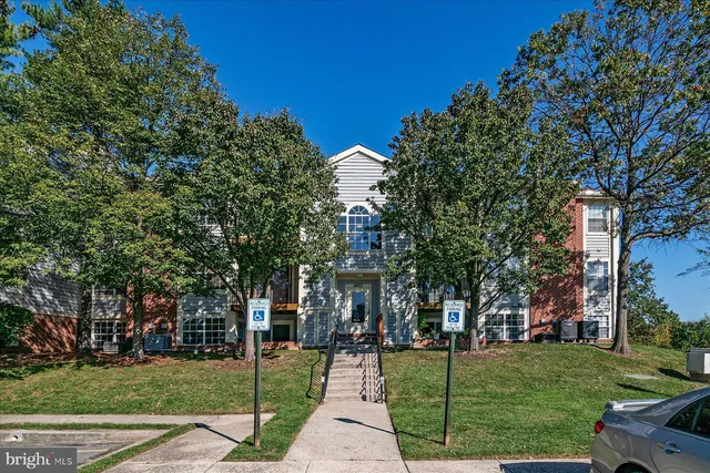 a view of a park with large trees