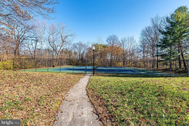 a view of a yard with trees