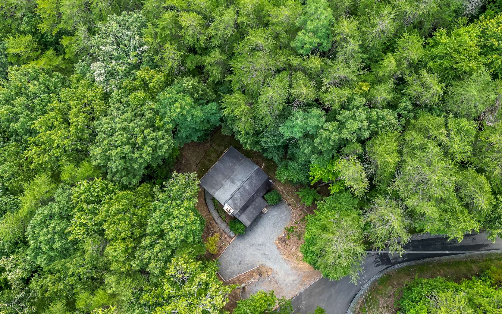 241 Walnut Mountain Road Ellijay, GA 30536 - Photo 5 of 34 an aerial view of a house with a yard
