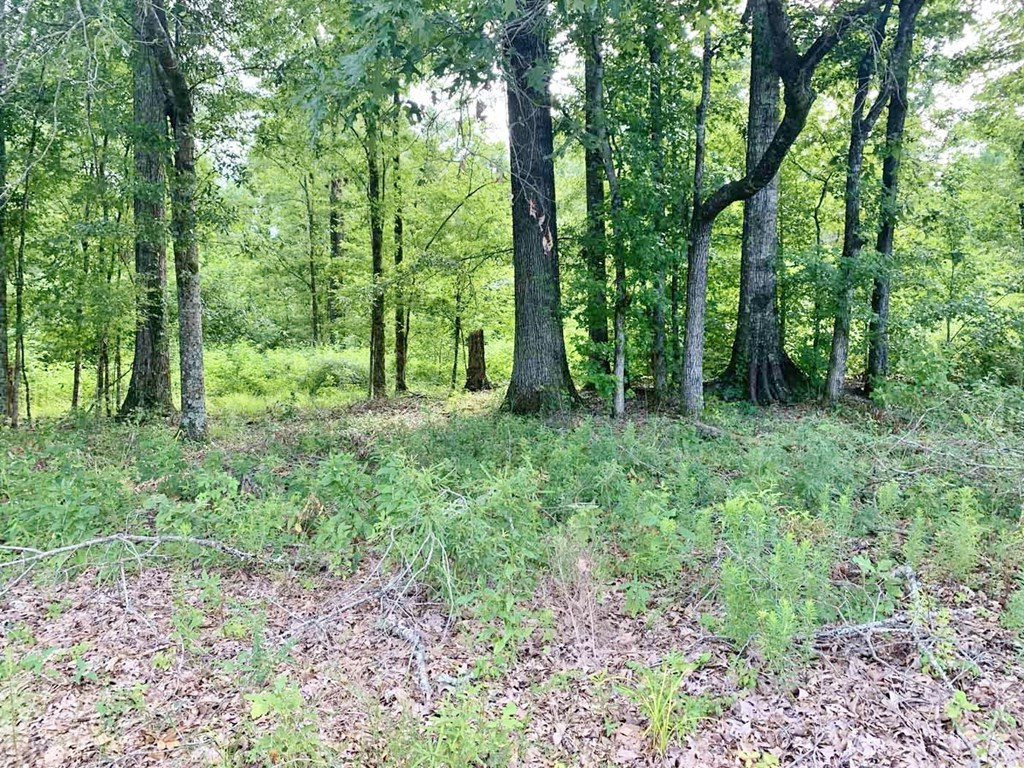 3000 Stonington Road Lorman, MS 39096 - Photo 19 of 38 Photo 19