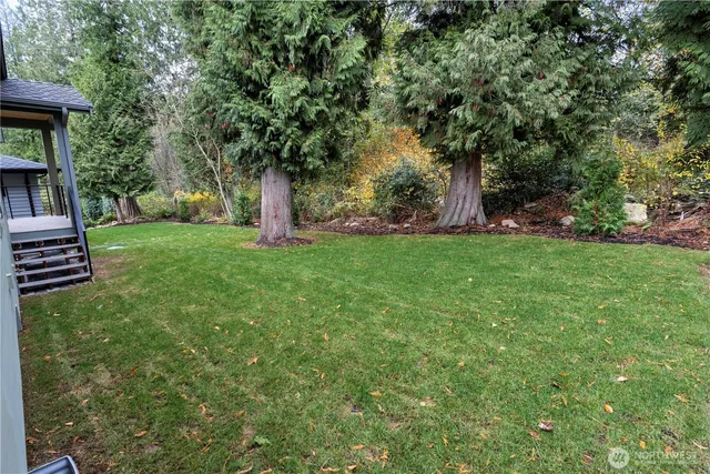a view of a backyard with large trees