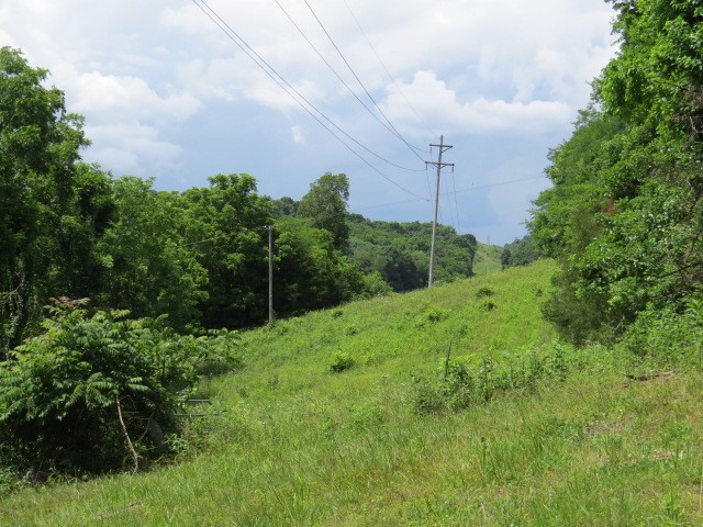 0 Hardy Road Pulaski, TN 38478 - Photo 5 of 12 Gallery Image 5