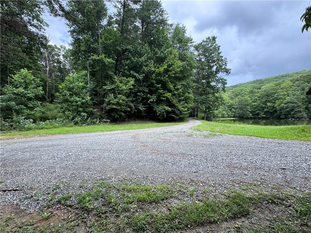 0 Owltown Road Ellijay, GA 30536 - Photo 3 of 15