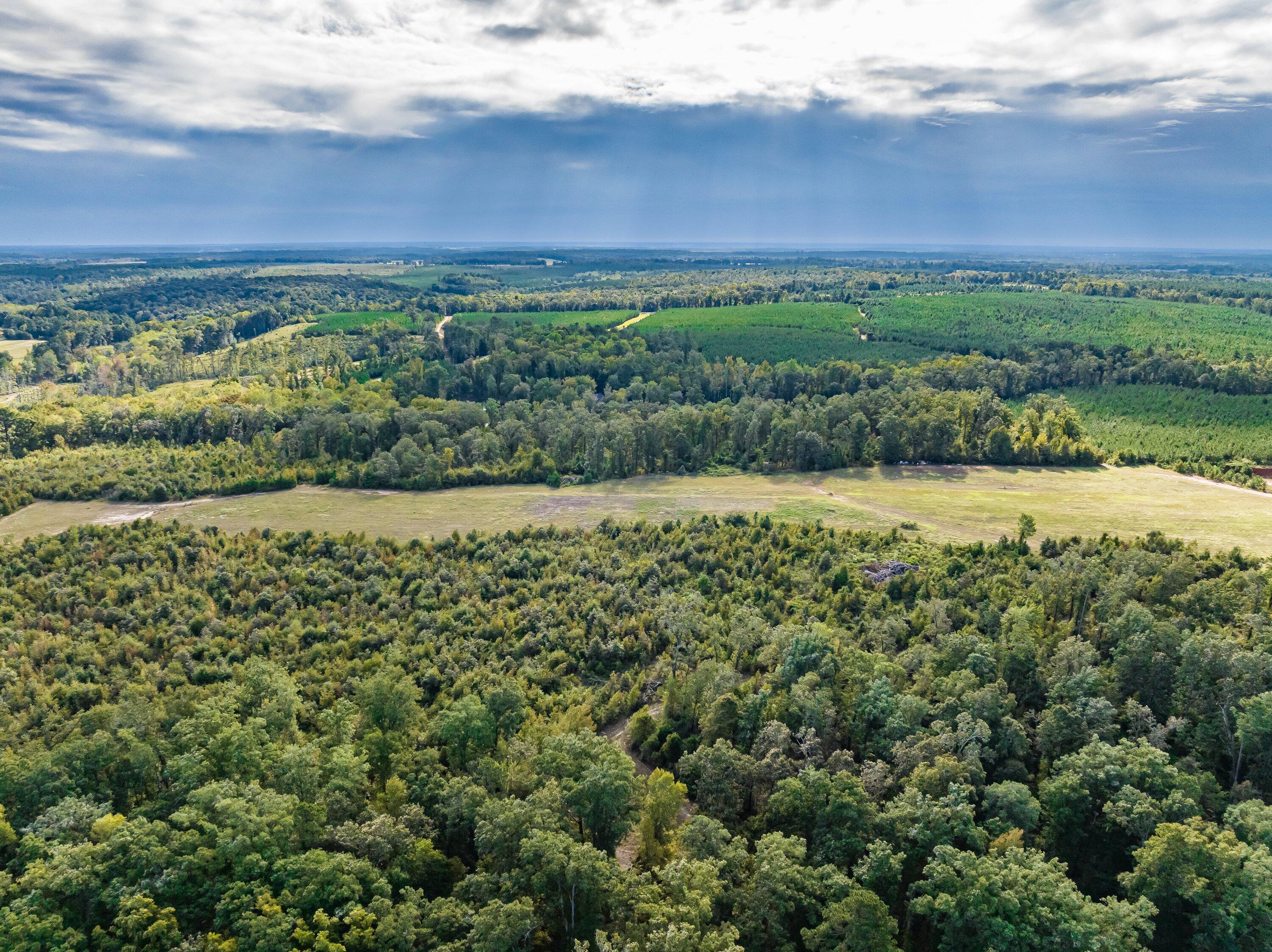 3275 Hadden Pond Road Avera, GA 30803 - Photo 60 of 69 DJI_0233-HDR