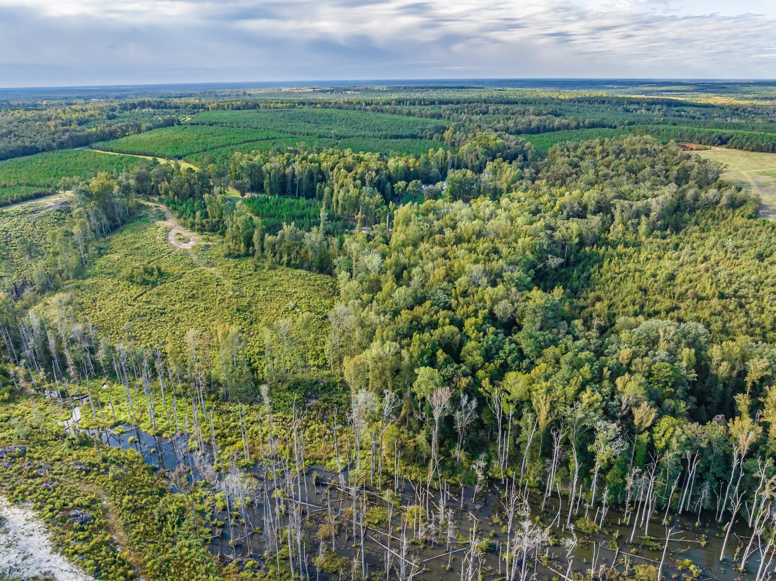 3275 Hadden Pond Road Avera, GA 30803 - Photo 66 of 69 DJI_0134-HDR