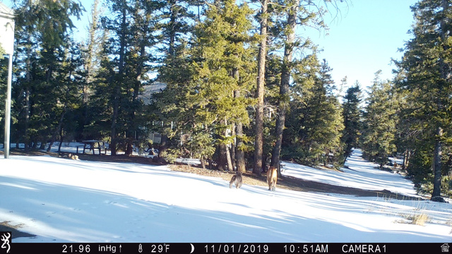 Undisclosed Address Duchesne, UT 84021 - Photo 23 of 29