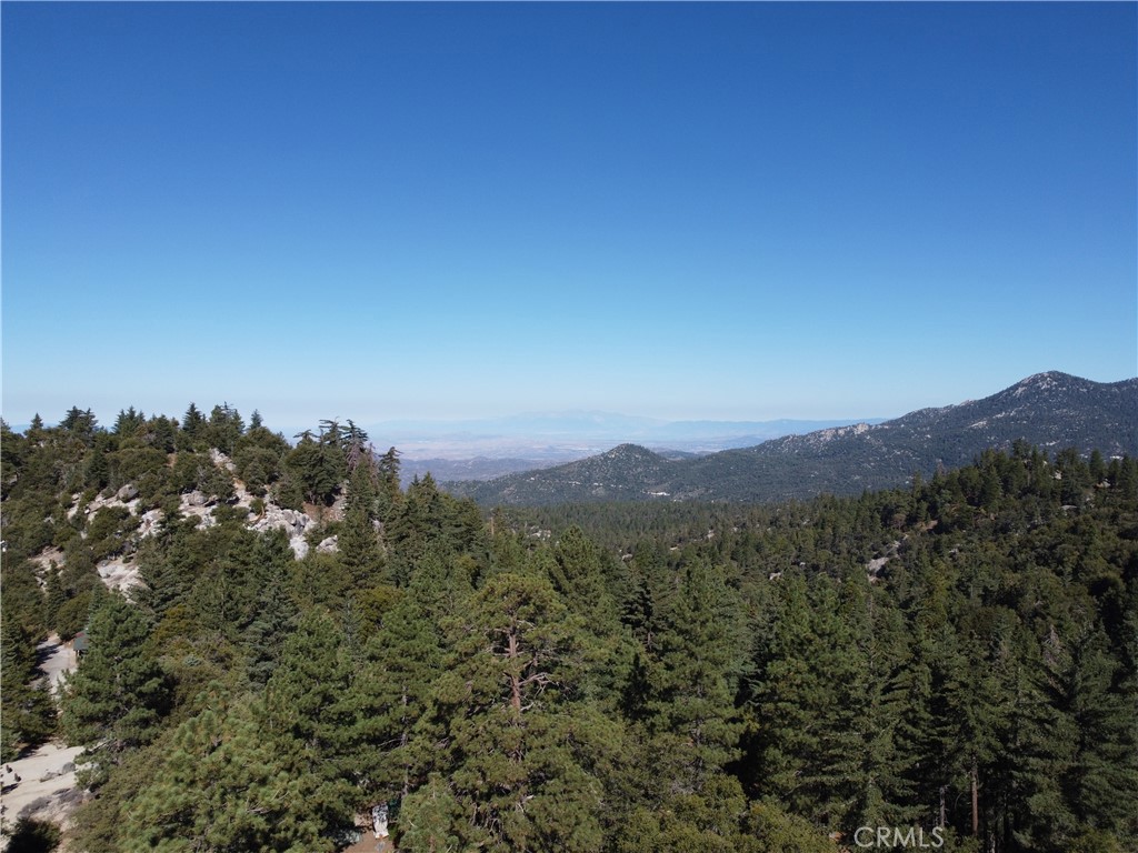 25110 Glen Road Idyllwild, CA 92549 - Photo 5 of 7