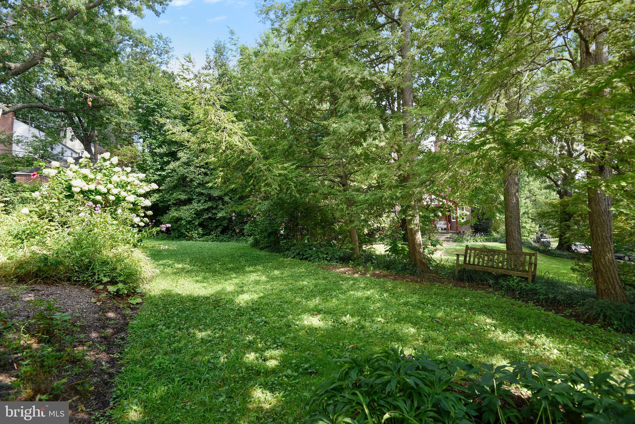 Side yard