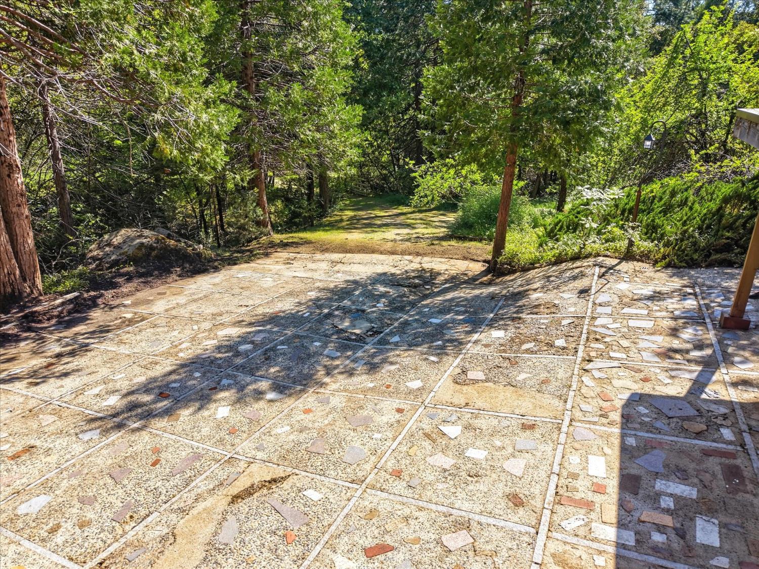 45167 Tolladay Road Oakhurst, CA 93644 - Photo 41 of 50 a view of yard with trees in the background