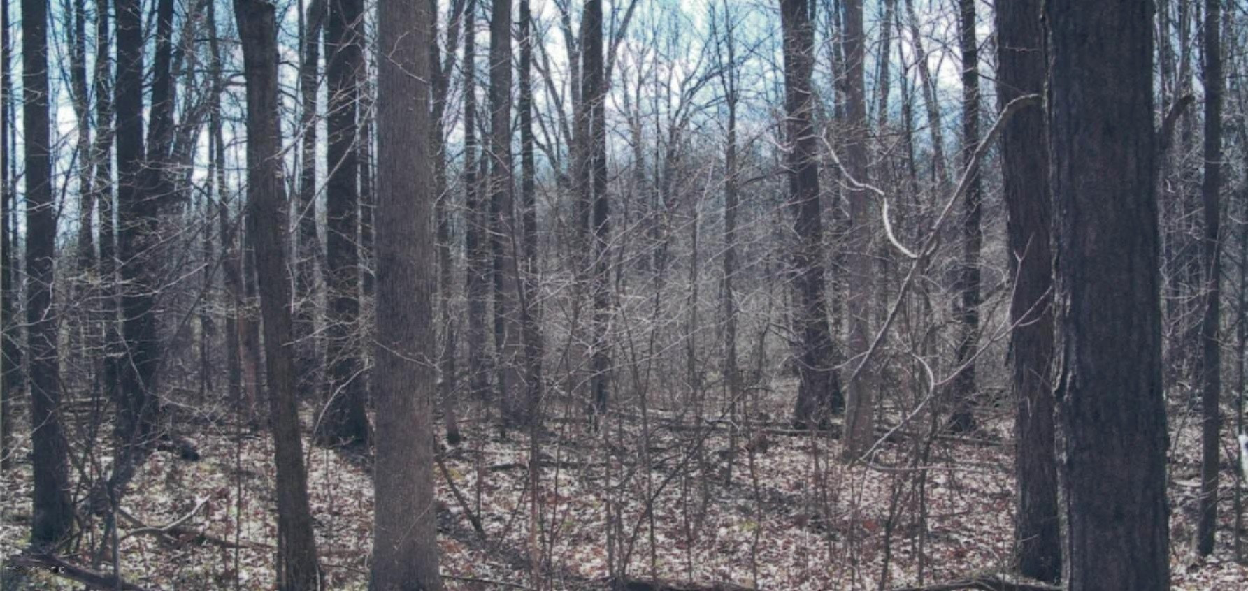 12000 Packard Road Hudson, MI 49247 - Photo 11 of 22 23