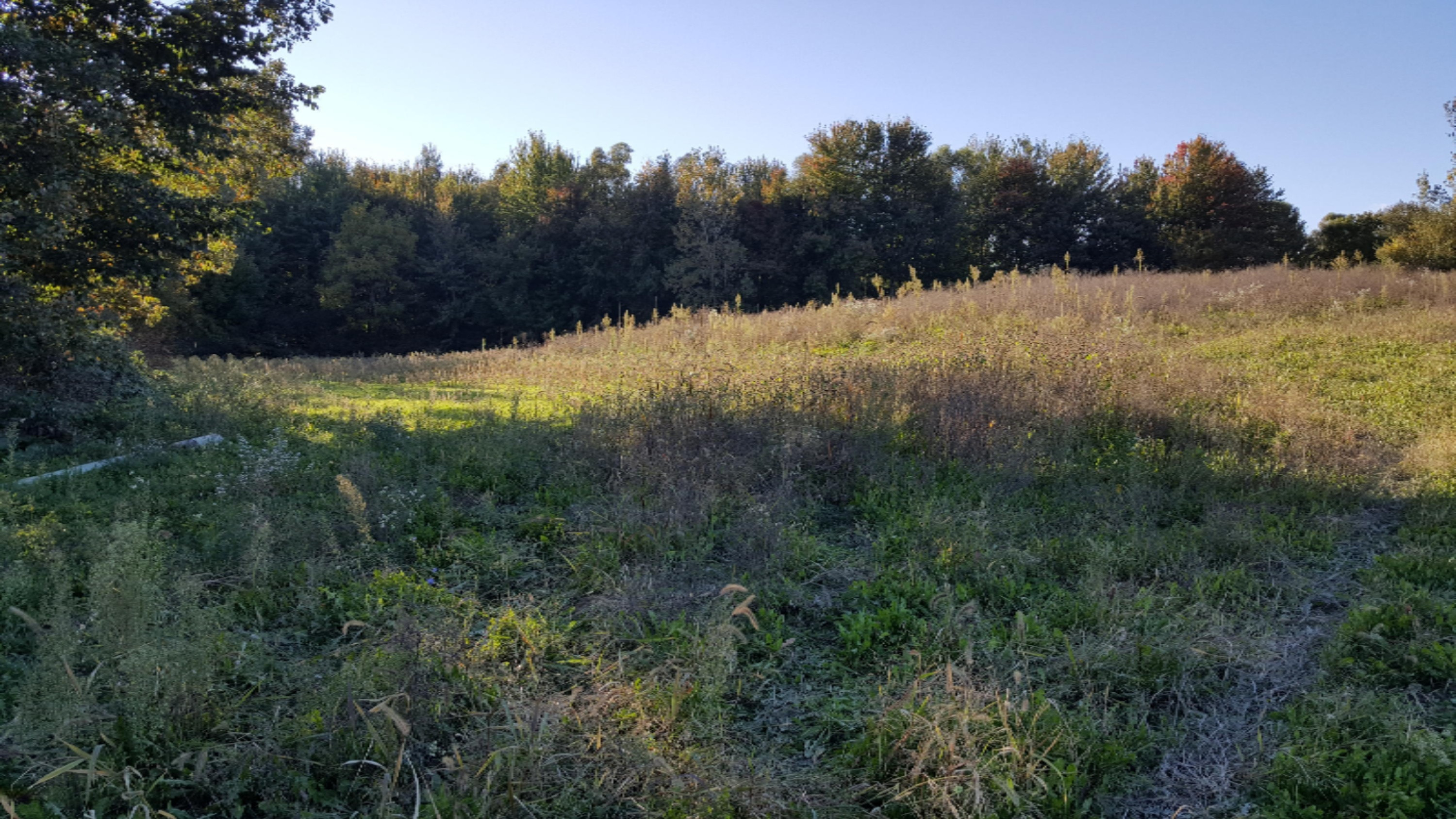 12000 Packard Road Hudson, MI 49247 - Photo 12 of 22 7