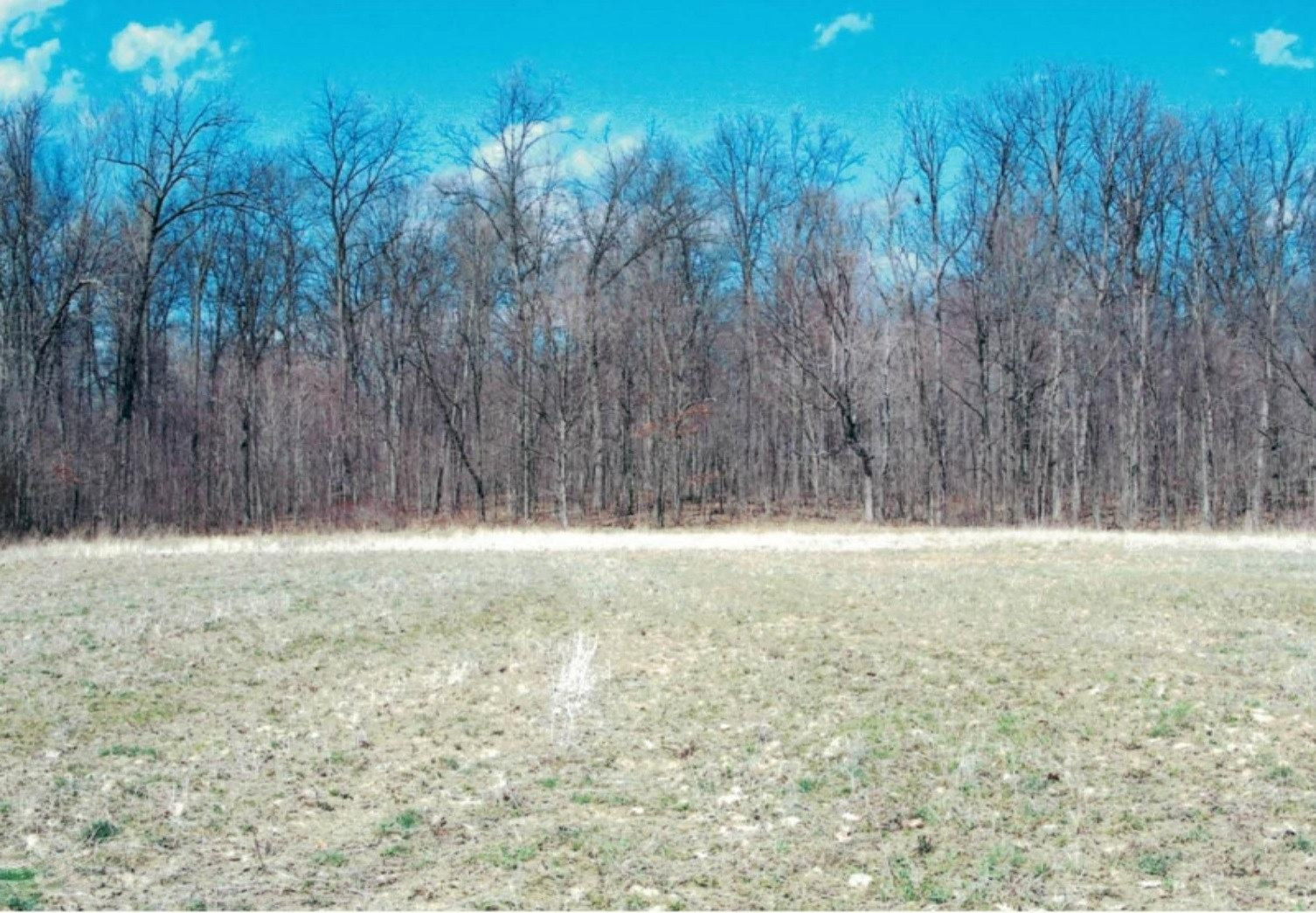 12000 Packard Road Hudson, MI 49247 - Photo 13 of 22 12