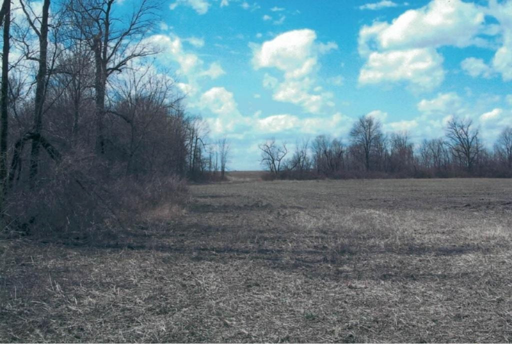12000 Packard Road Hudson, MI 49247 - Photo 15 of 22 17