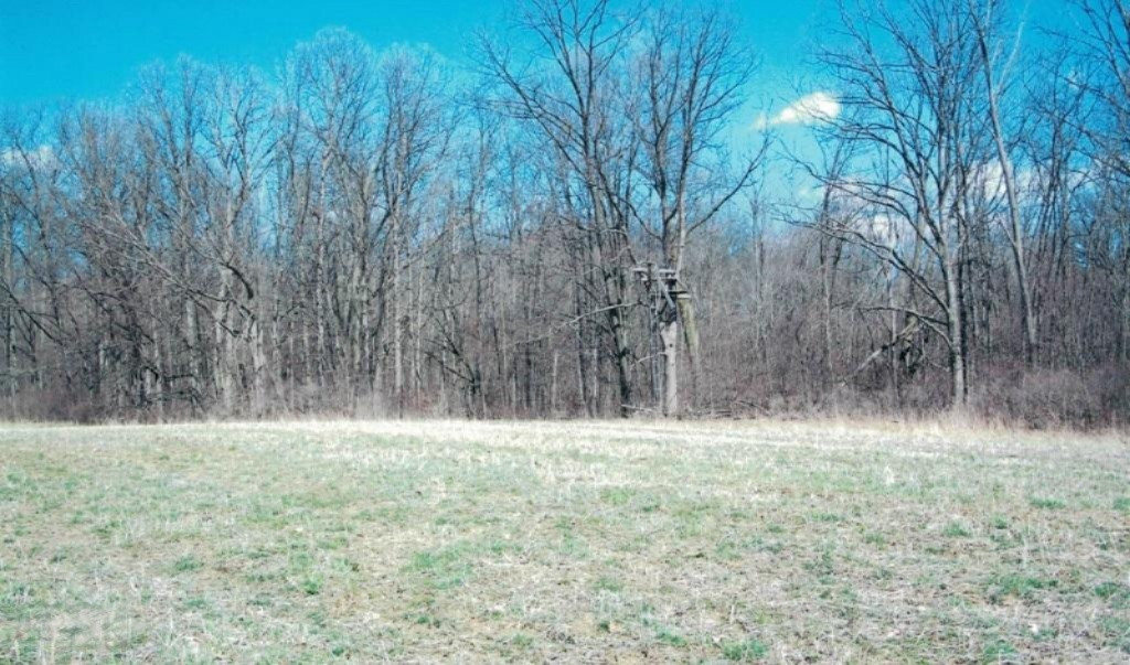 12000 Packard Road Hudson, MI 49247 - Photo 16 of 22 18