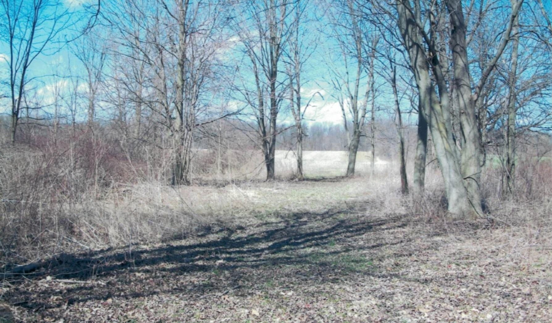 12000 Packard Road Hudson, MI 49247 - Photo 18 of 22 26