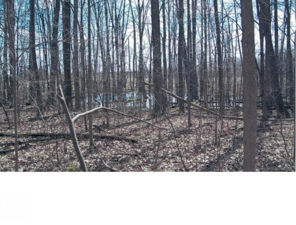 12000 Packard Road Hudson, MI 49247 - Photo 8 of 22 22