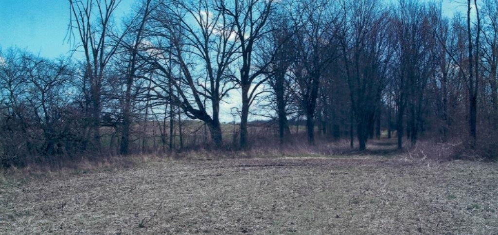 12000 Packard Road Hudson, MI 49247 - Photo 10 of 22 20