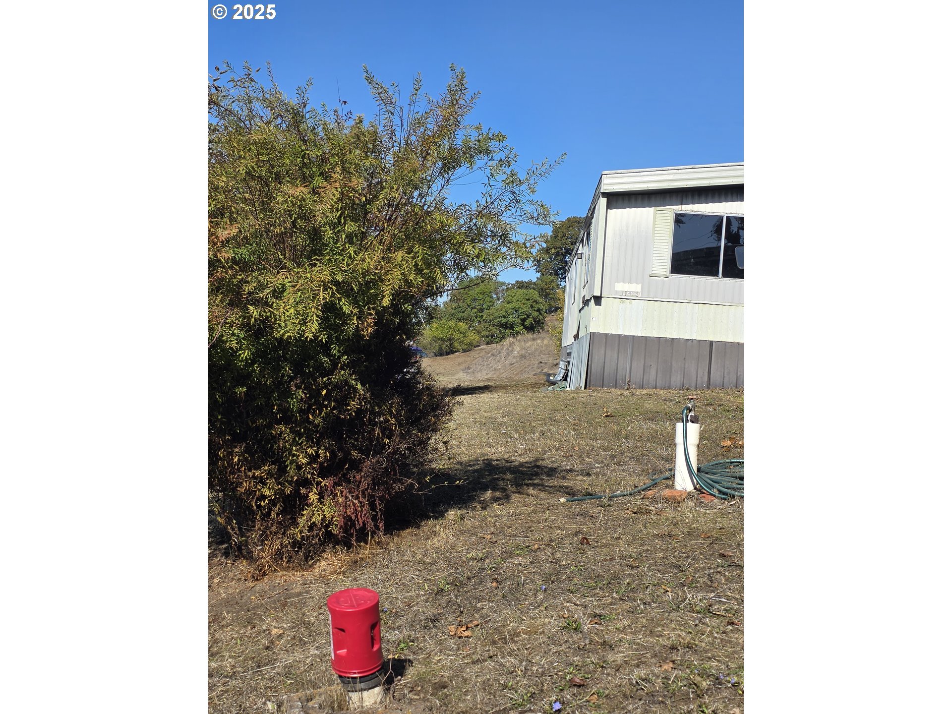 368 Pleasant Street Winchester, OR 97495 - Photo 4 of 5