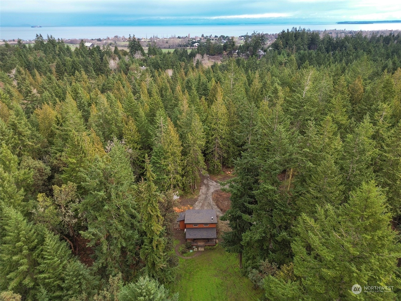 253 Sylvan Ridge Road Sequim, WA 98382 - Photo 38 of 40 a view of a city with lush green forest