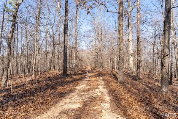$195,000 | 0 County Road 426, Ellington, MO 63638