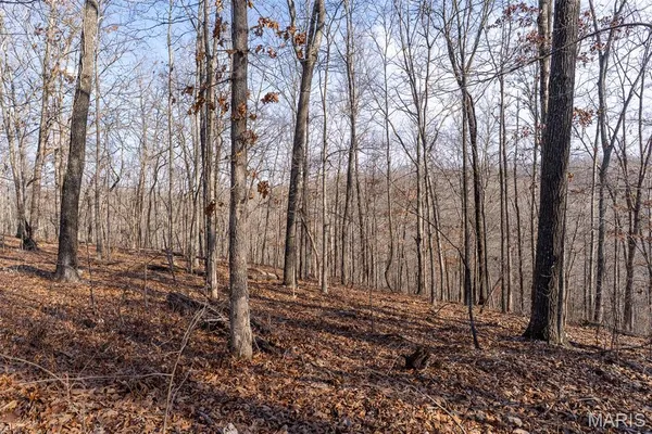 $195,000 | 0 County Road 426, Ellington, MO 63638