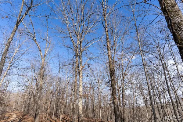 $195,000 | 0 County Road 426, Ellington, MO 63638