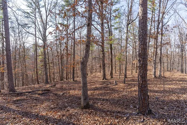 $195,000 | 0 County Road 426, Ellington, MO 63638