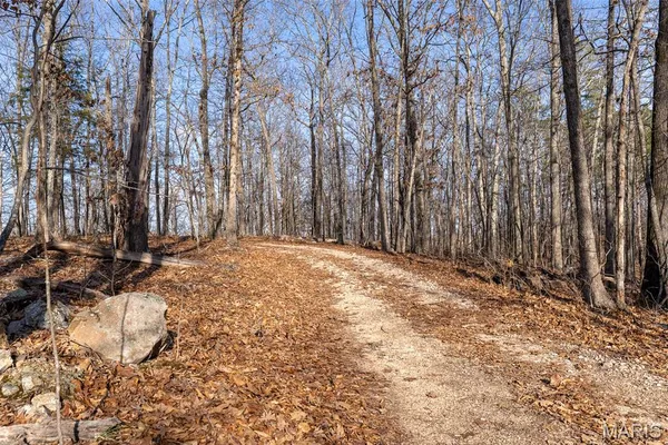 $195,000 | 0 County Road 426, Ellington, MO 63638