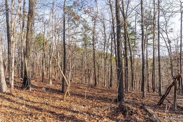 $195,000 | 0 County Road 426, Ellington, MO 63638