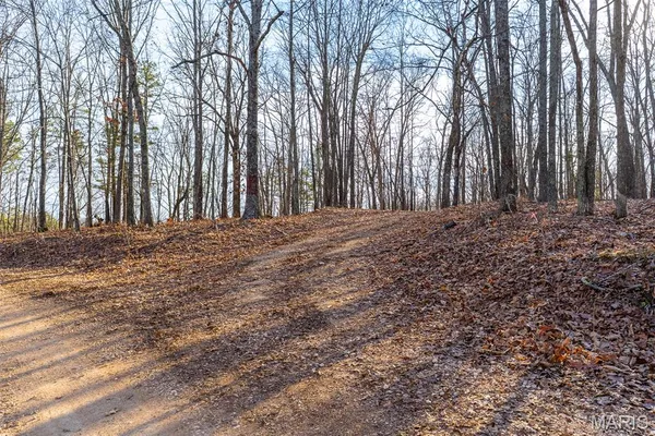 $195,000 | 0 County Road 426, Ellington, MO 63638