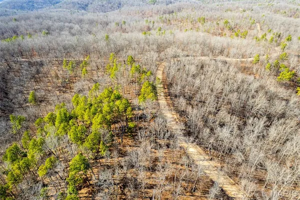 $195,000 | 0 County Road 426, Ellington, MO 63638