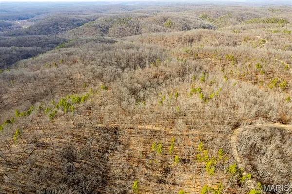 $195,000 | 0 County Road 426, Ellington, MO 63638