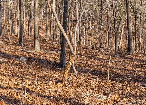 $195,000 | 0 County Road 426, Ellington, MO 63638