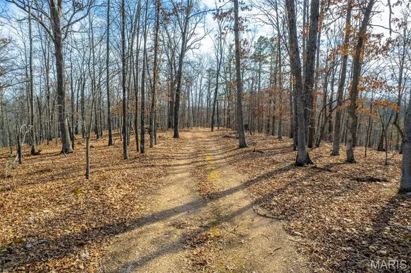 $195,000 | 0 County Road 426, Ellington, MO 63638