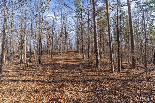 $195,000 | 0 County Road 426, Ellington, MO 63638