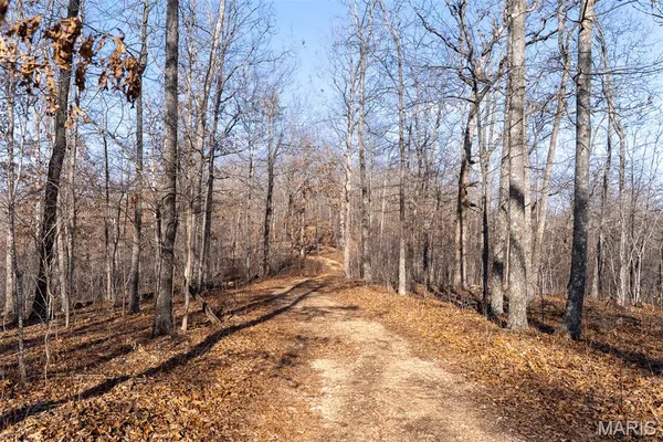 $195,000 | 0 County Road 426, Ellington, MO 63638
