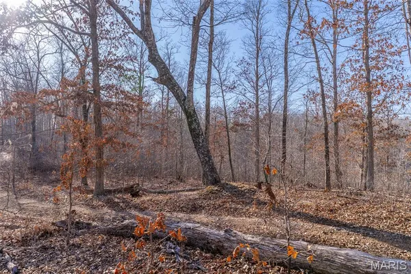 $195,000 | 0 County Road 426, Ellington, MO 63638