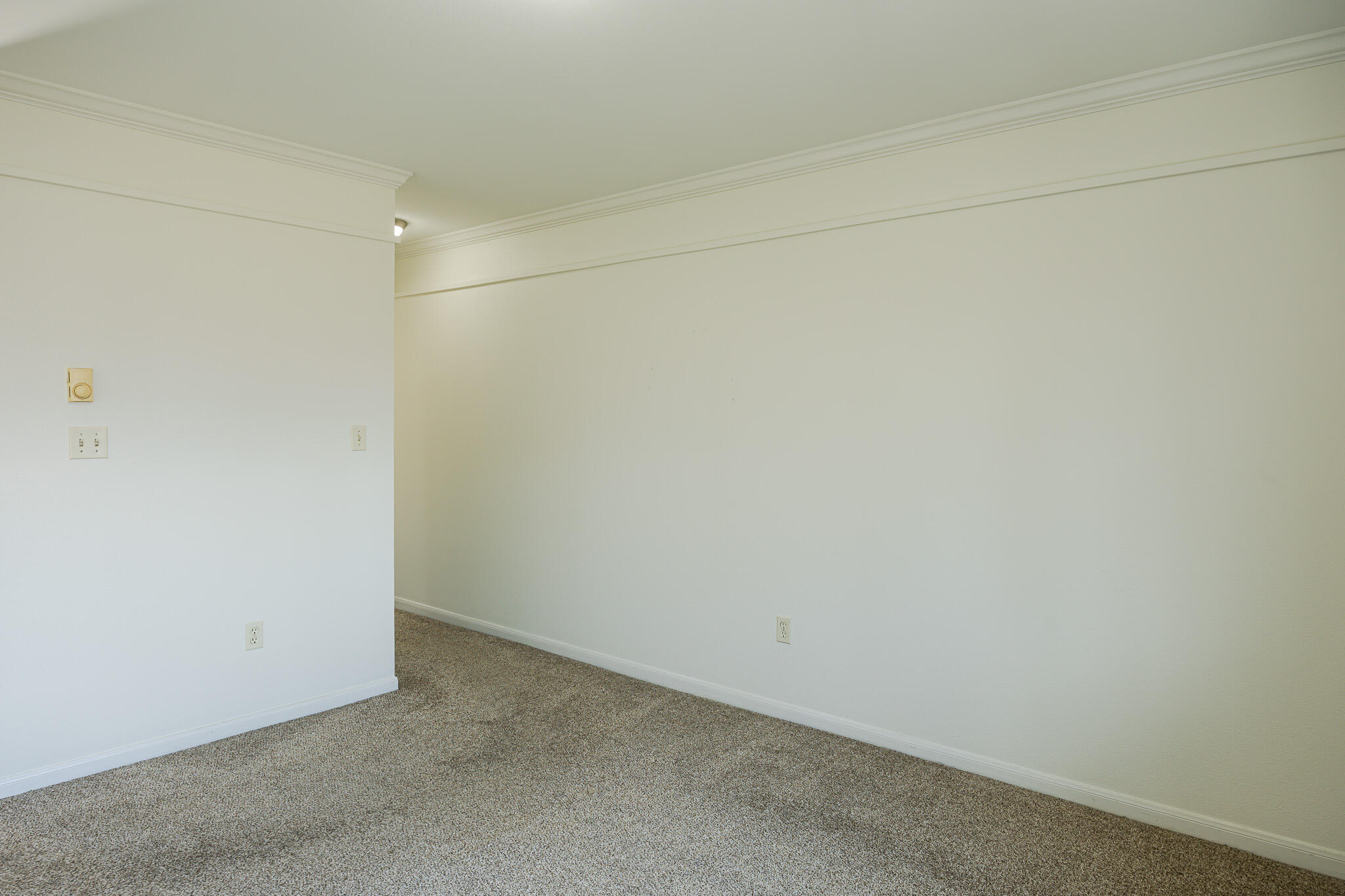 1108 North Milwaukee Street, Unit 320 Milwaukee, WI 53202 - Photo 19 of 32 IMG_1357