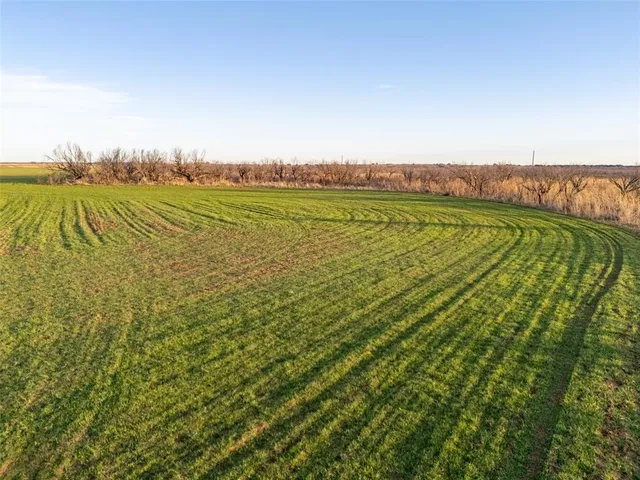 a view of a field with an ocean view