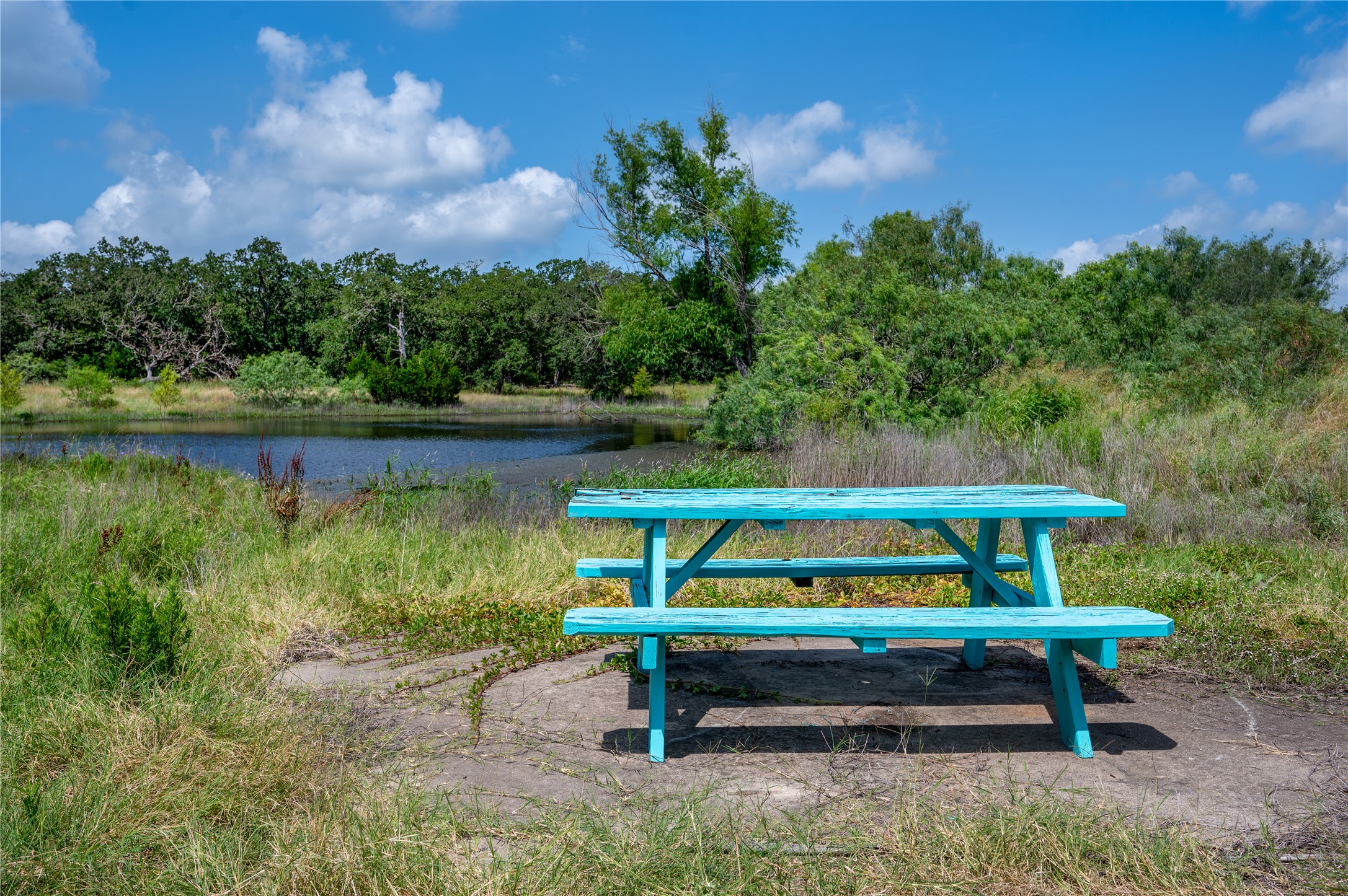 270 Dry Creek Road Manor, TX 78653 - Photo 26 of 40 A tranquil pond awaits, nestled among verdant trees and inviting a moment of repose at the bright picnic table.