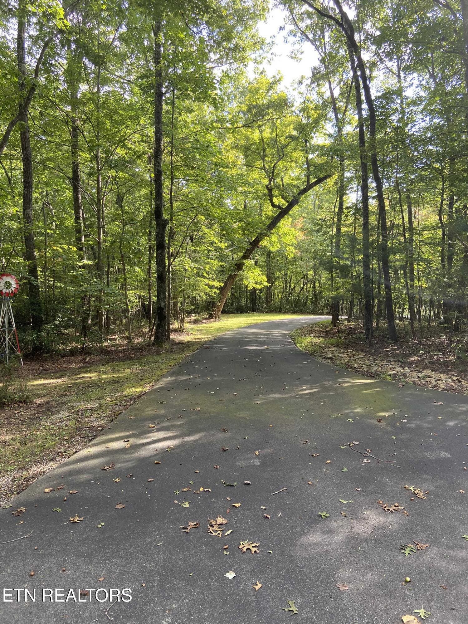 1729 Huckleberry Road Monterey, TN 38574 - Photo 2 of 47 IMG_1616