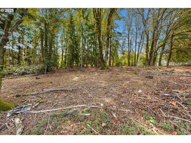 a view of outdoor space with green space