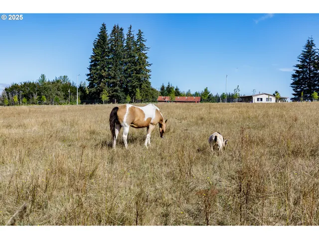 a view of outdoor space with seating